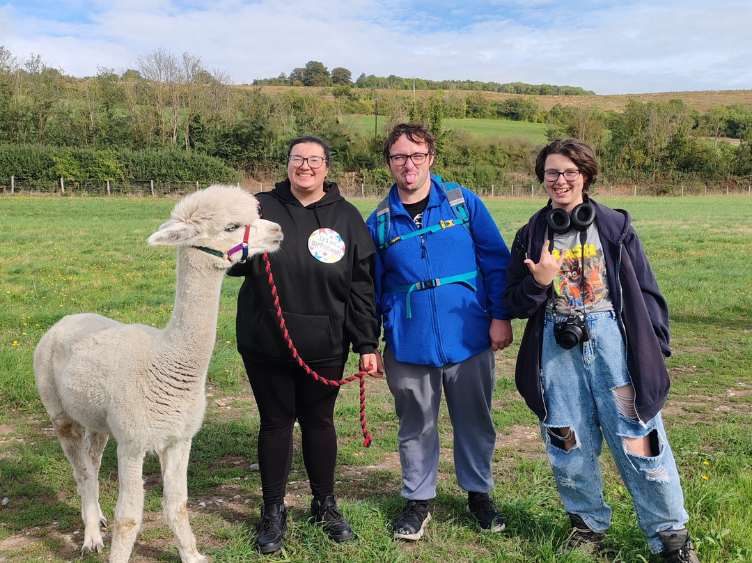 Lower Bush Alpacas-Cuxton必去景点