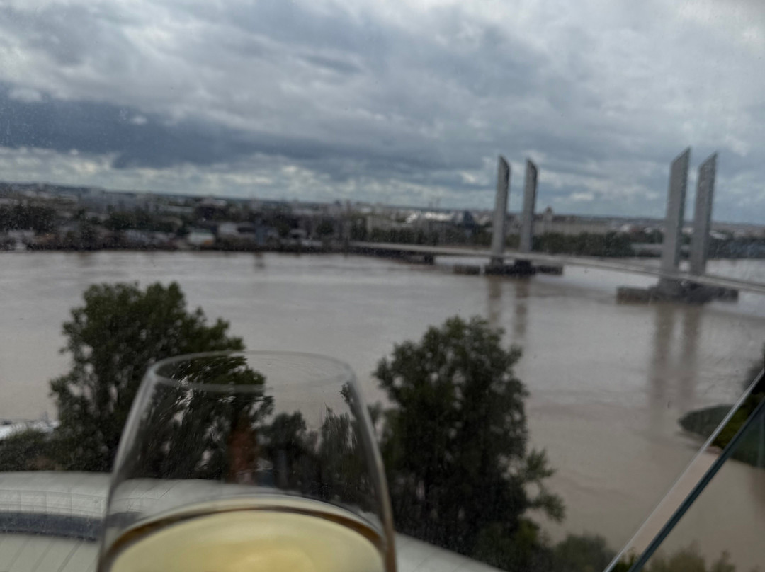 La Cité du Vin-波尔多必去景点