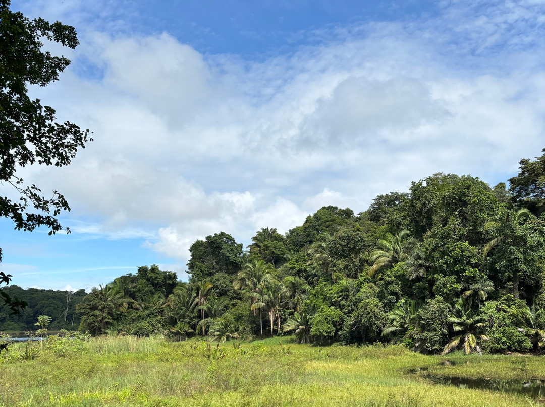 Panama Rainforest Discovery Center-甘博阿必去景点