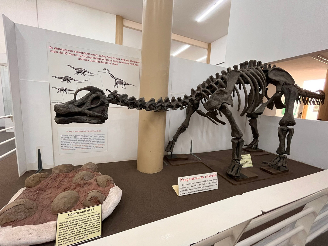 Museu De História Natural de Taubaté-陶巴特必去景点
