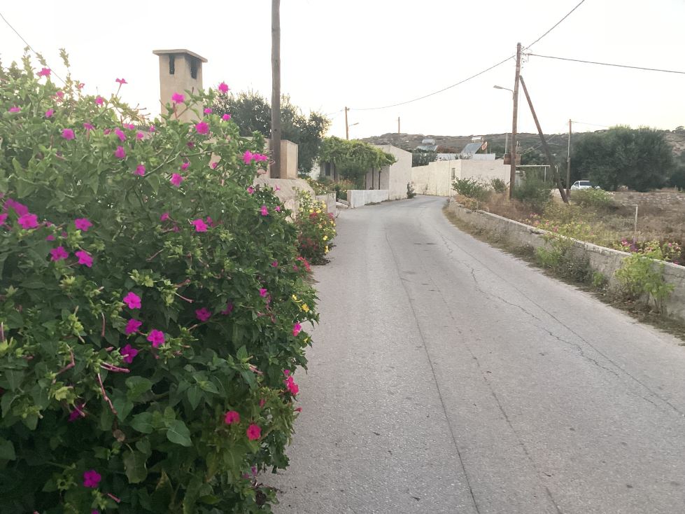Billy's Studios-旅行者
