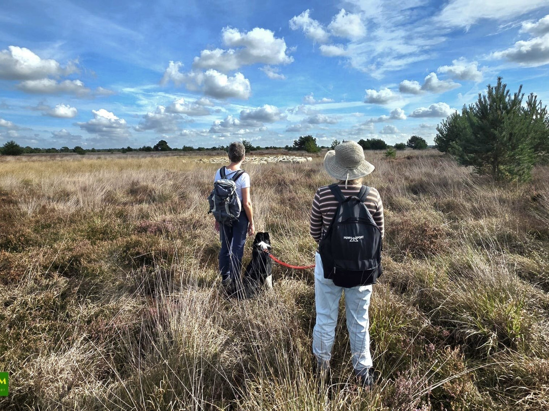 Strijdom landschapsbeheer-Heeze必去景点