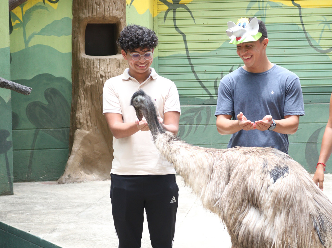 Zoológico De Barranquilla-Barranquilla必去景点