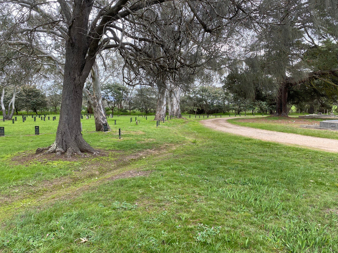 Ararat Cemetery-亚拉拉特山必去景点