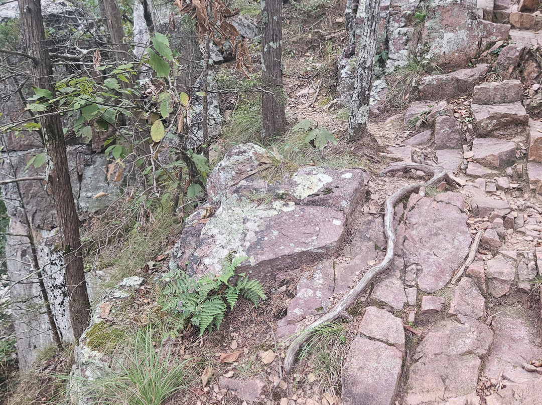 Johnson's Shut-ins State Park-Middle Brook必去景点