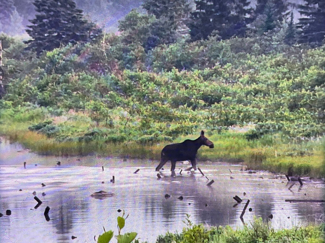 Moosehead Area Guide Service-Greenville必去景点