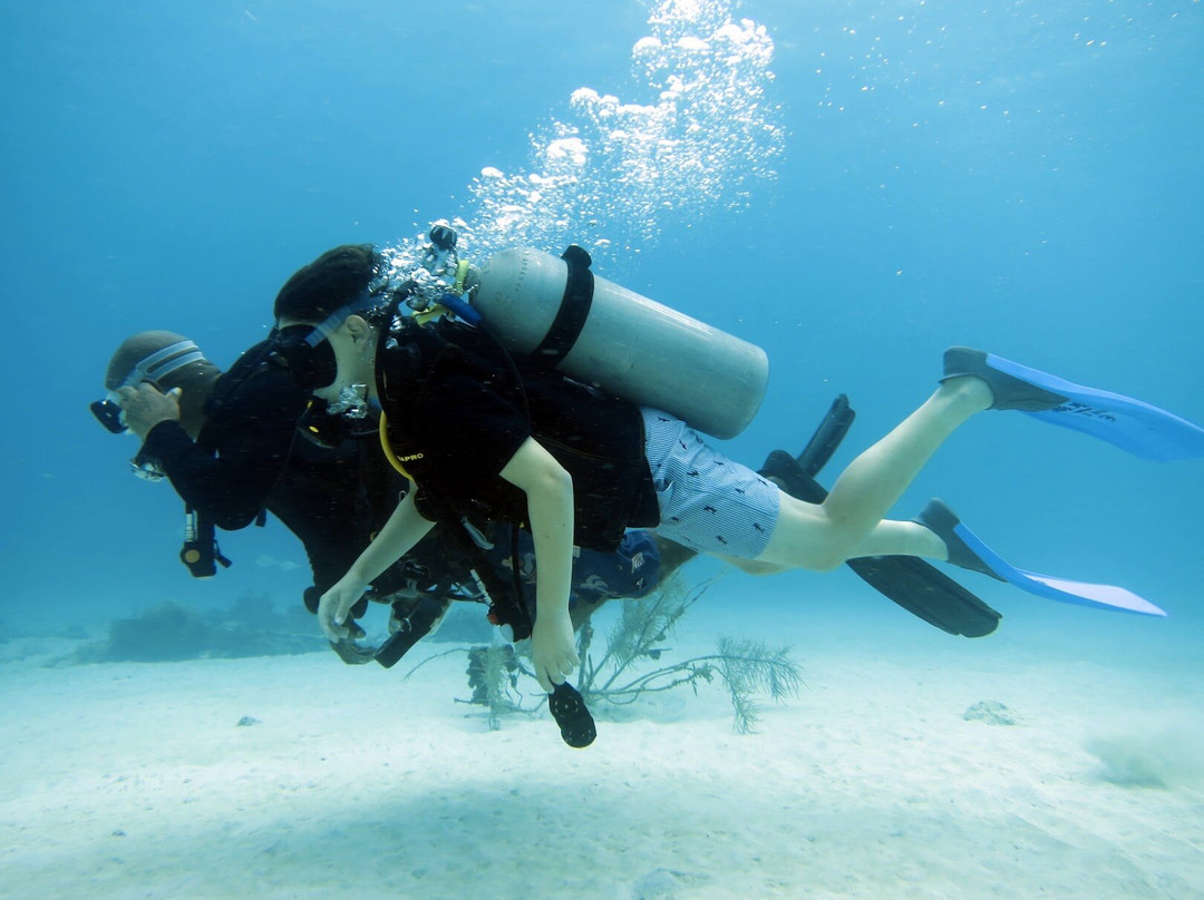 Seahorse Divers Barbados-奥伊斯廷斯必去景点