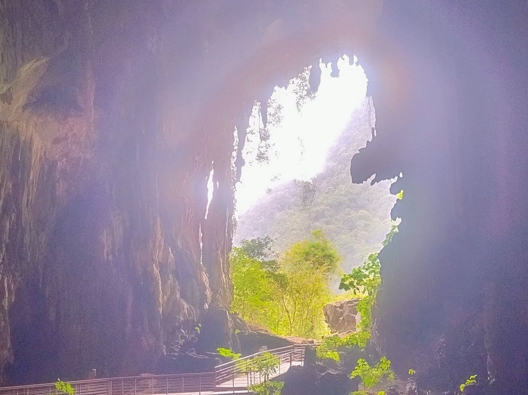 Cueva de Las Lechuzas-Tingo Maria必去景点