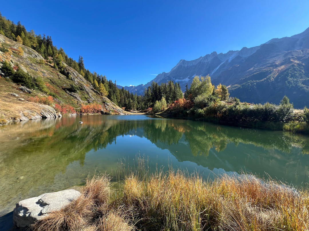 Momentum - die Lauchernalp Lodge