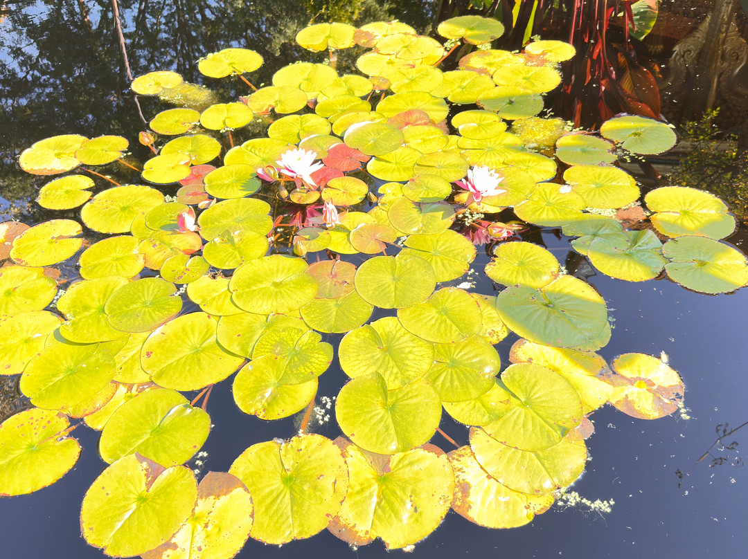 奥布里希热带植物园-麦迪逊必去景点