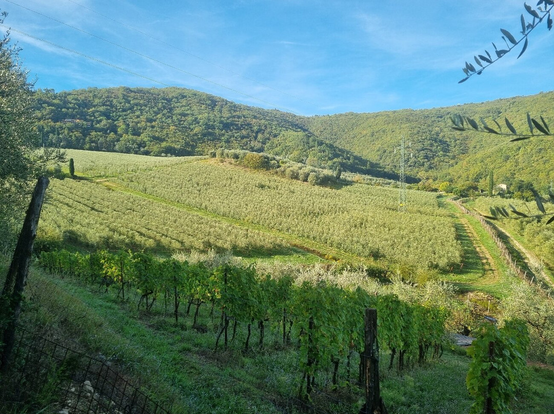 Monastero benedettino Santa Maria Rosano-阿尔诺河畔里尼亚诺必去景点