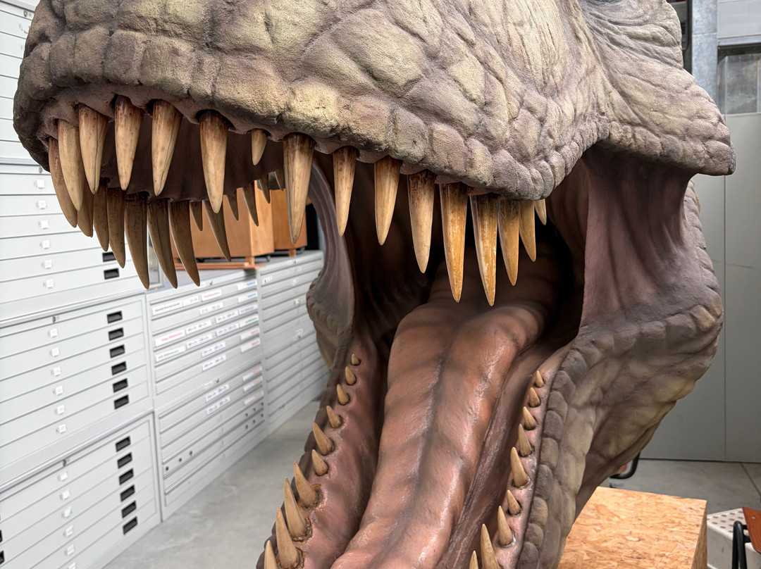 Het Oertijdmuseum-Boxtel必去景点