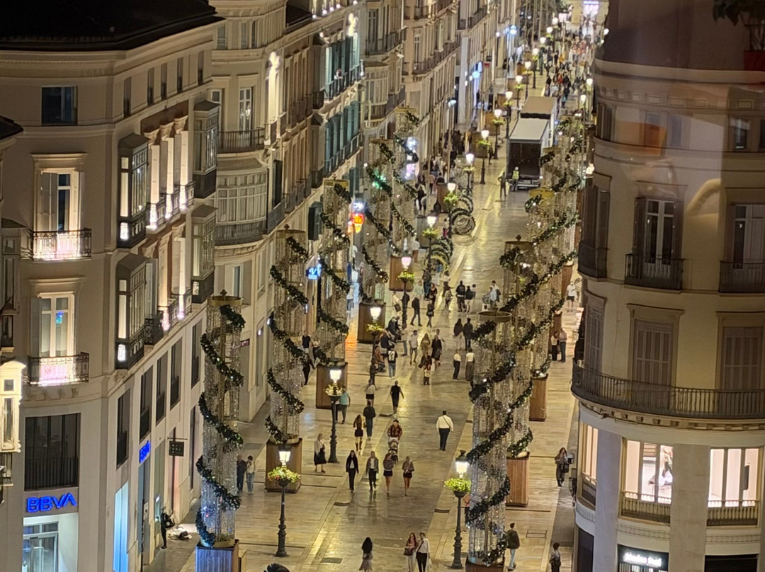马拉加酒店住宿-Petit Palace La Equitativa