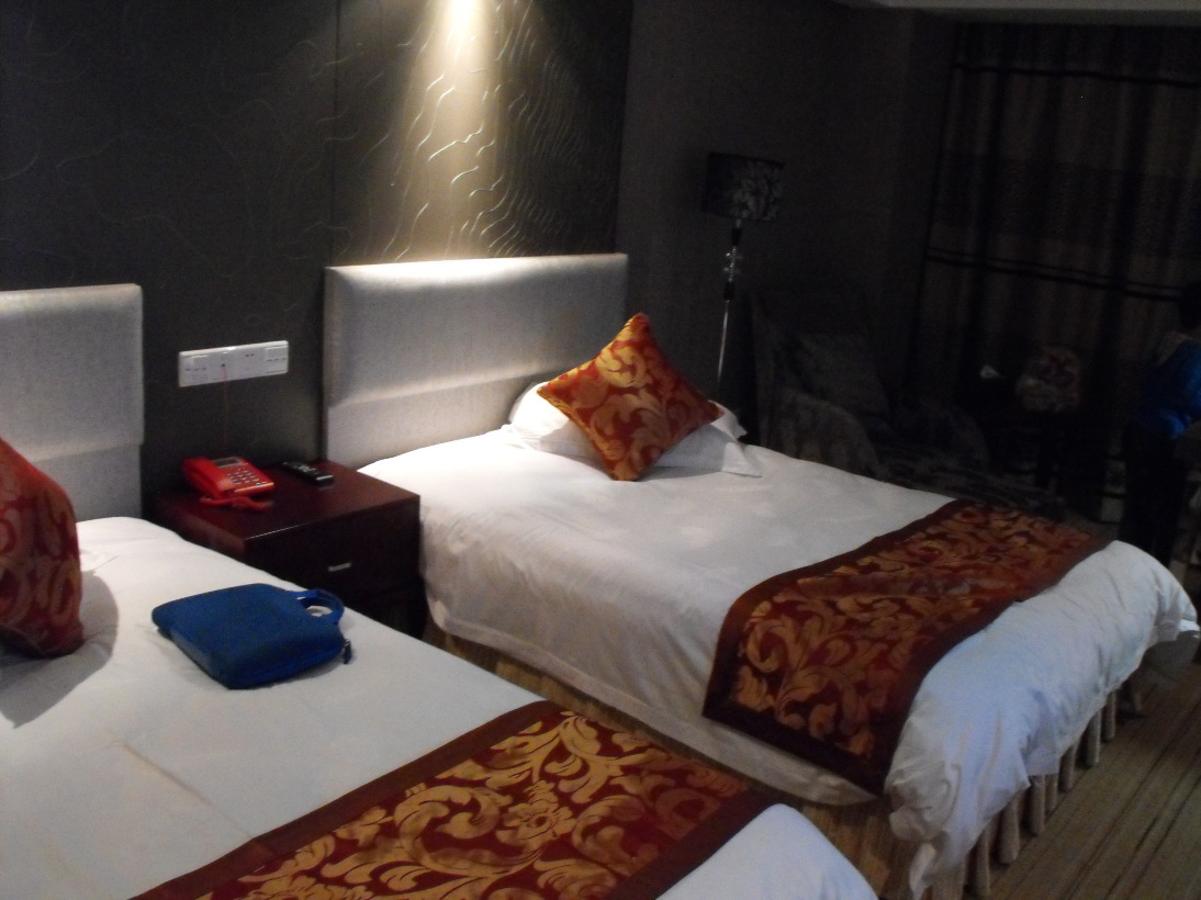 金海大酒店-客卧