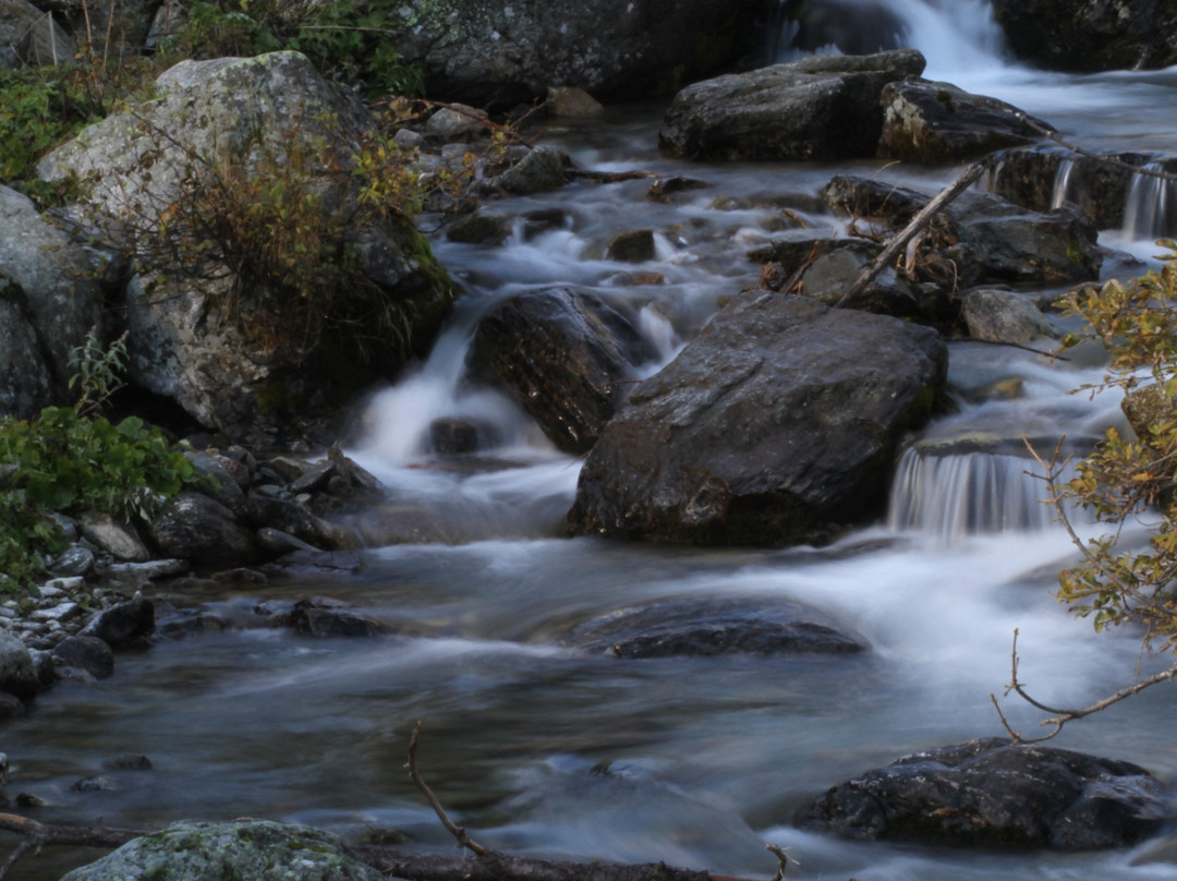 Fedio酒店住宿-Albergo Nasi