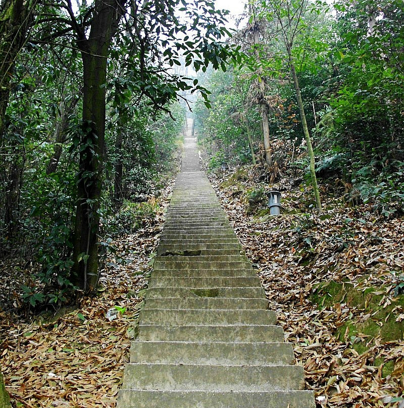 东台山国家森林公园景点图片