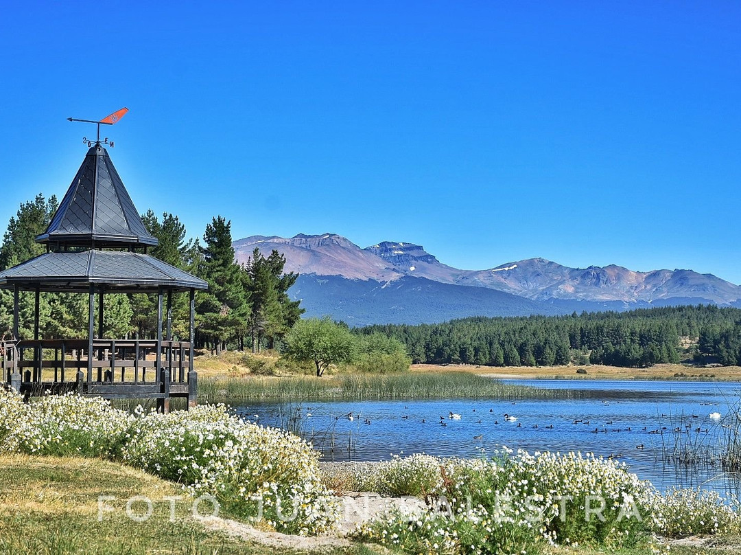 Reserva Natural Urbana Laguna La Zeta景点图片