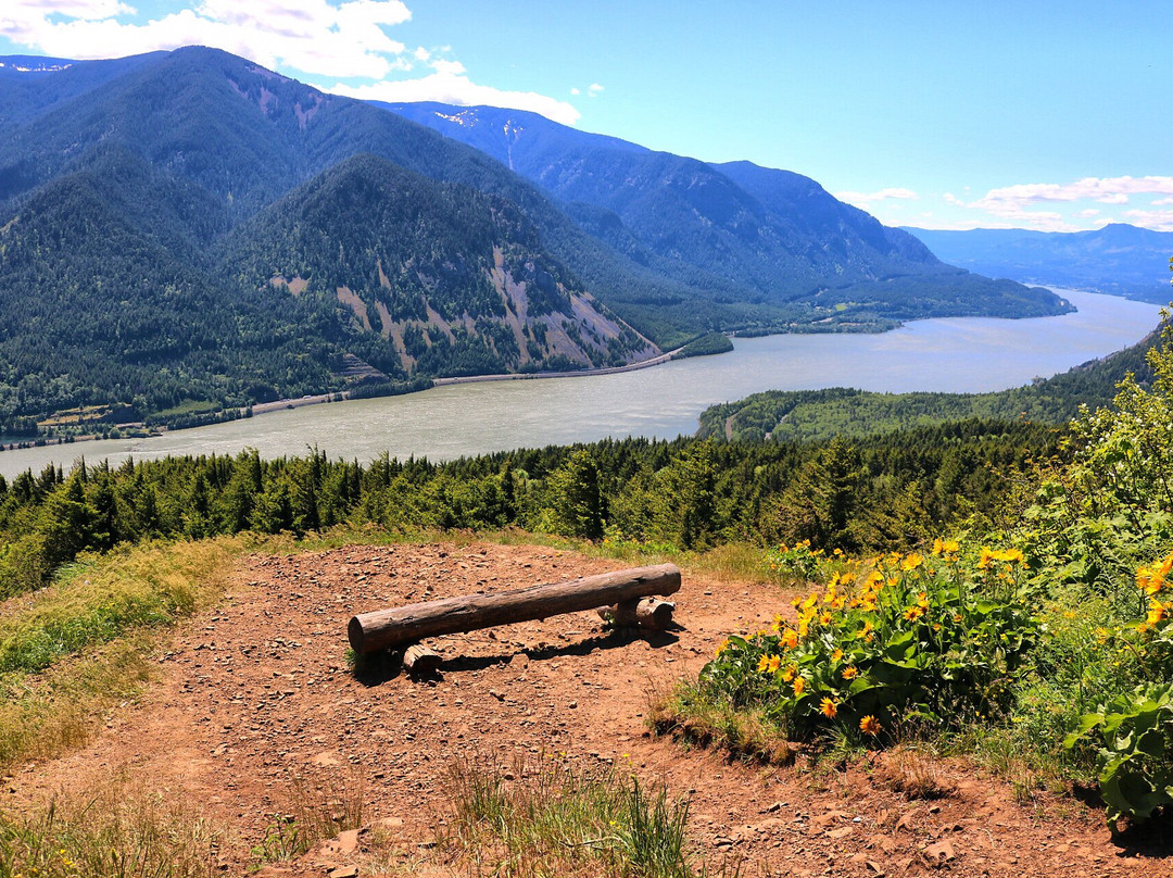 Dog Mountain Trail景点图片