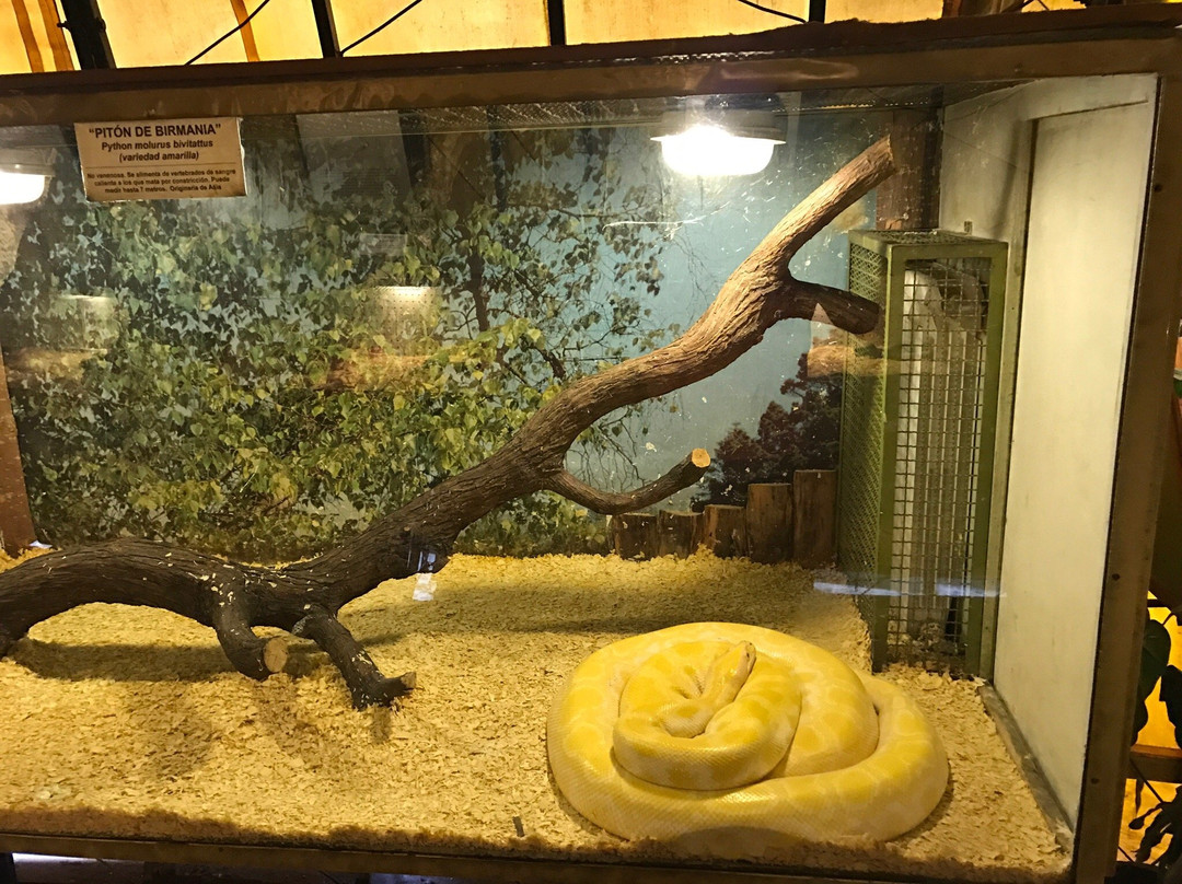 Zoologico Serpentario Mendoza景点图片