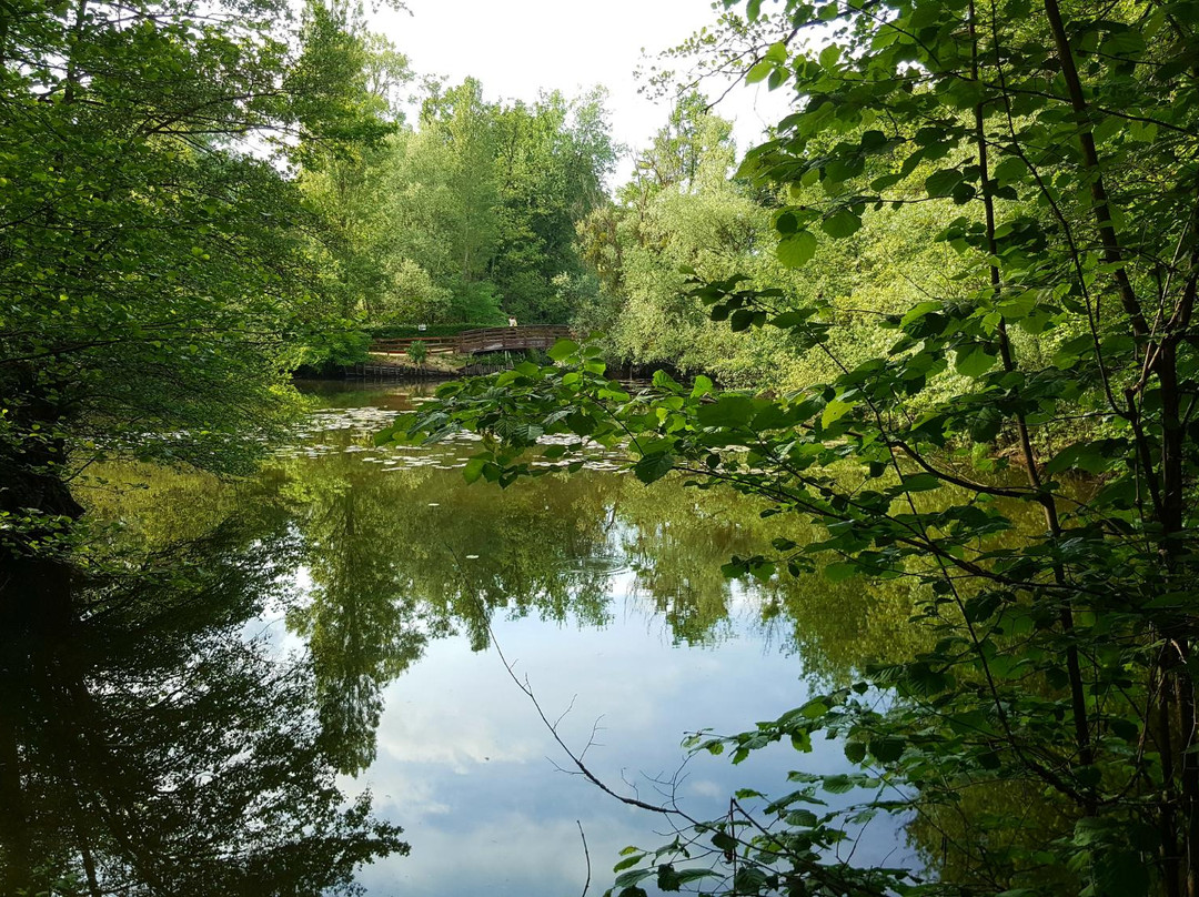 Parc de Fouchy景点图片