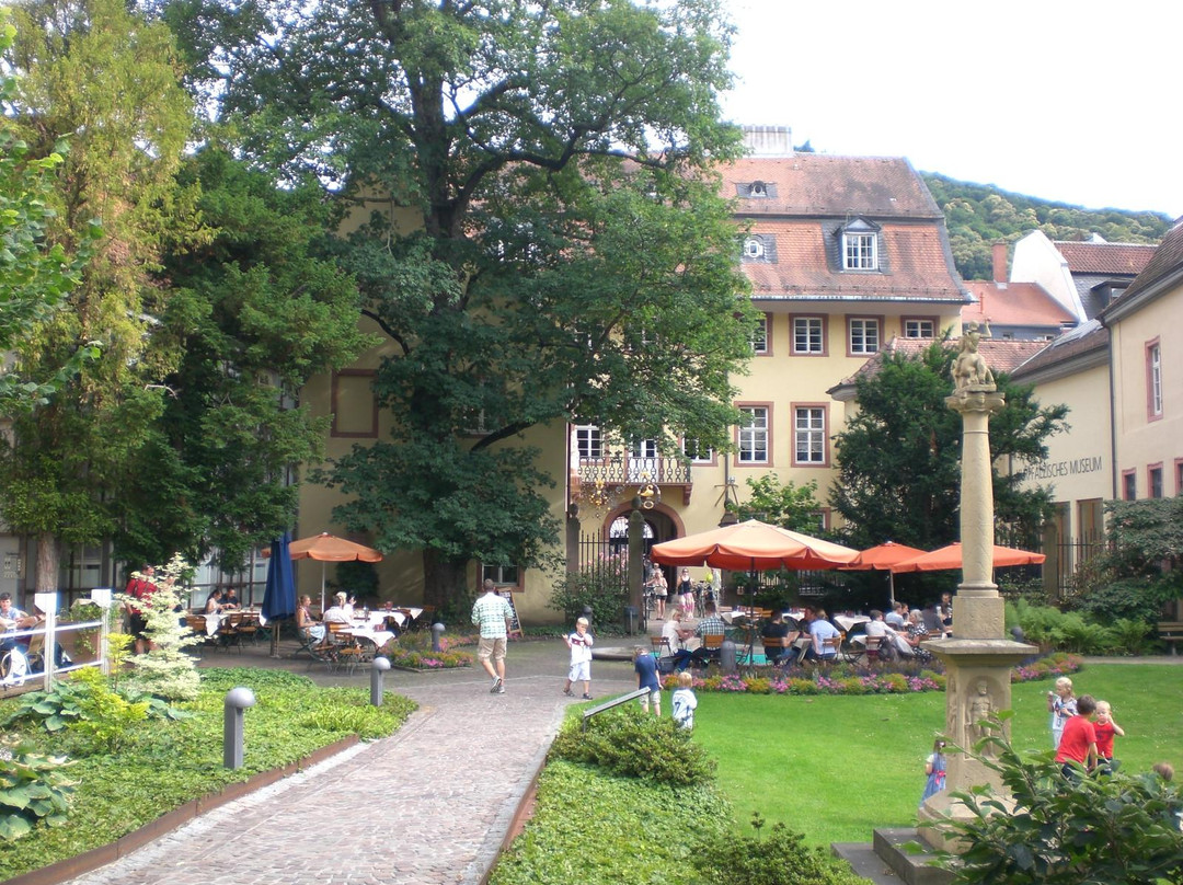 The Palatinate Museum景点图片