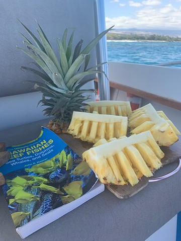 Captain Chad’s Charters-威可洛亚必去景点