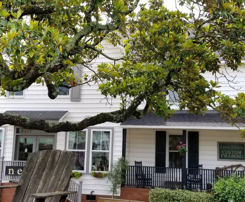 Manteo Waterfront Park景点图片