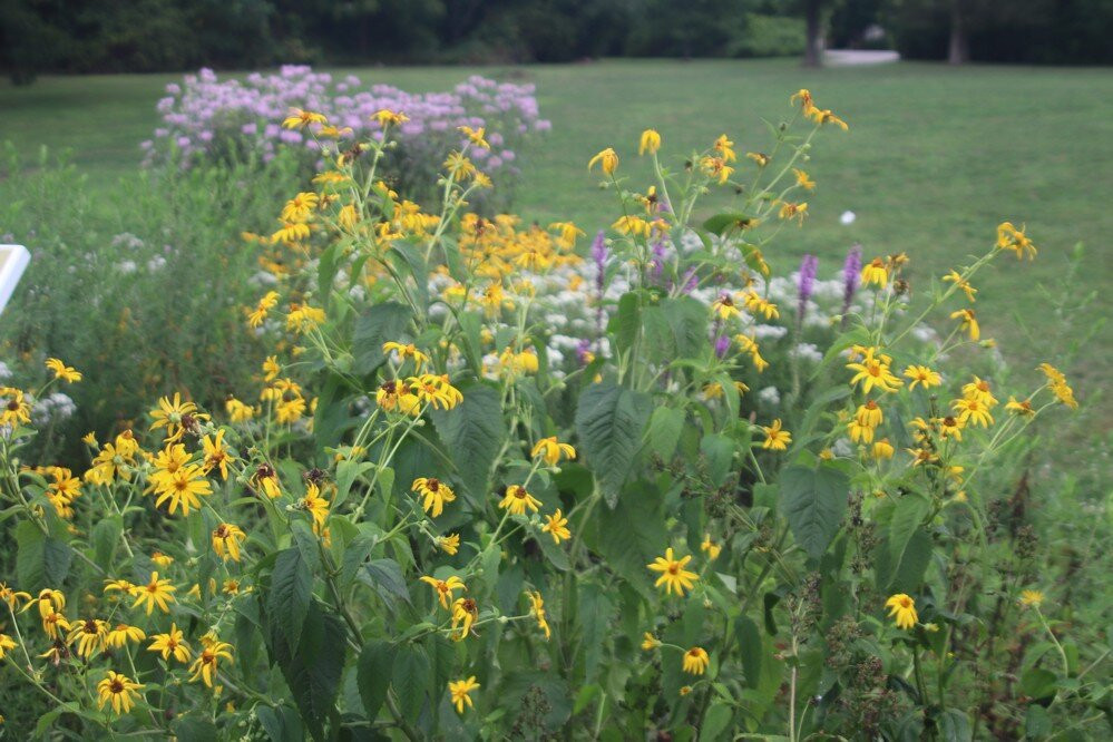 Wainfleets Memorial Community Park-Wainfleet必去景点