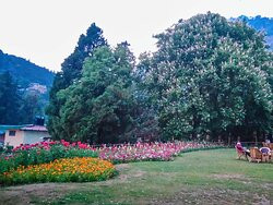 伯尔拉姆布之家酒店主图