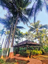 Majhya Mamacha Gaon主图