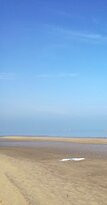 Riserva Naturale Orientata Foce del Fiume Belice e Dune Limitrofe-Castelvetrano必去景点