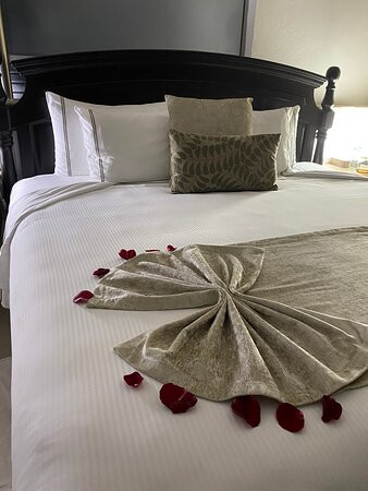 卡里司马埃尔多拉多马罗马全包酒店主图