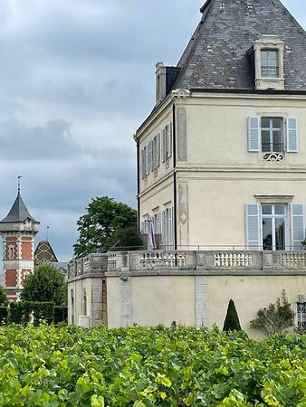 Domaine Château de Citeaux景点图片