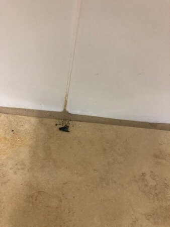 Hampton Inn By Hilton Sturgis-lagrange Area主图