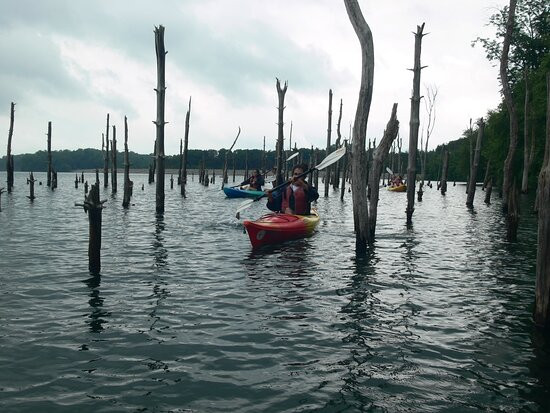 Kayak East景点图片