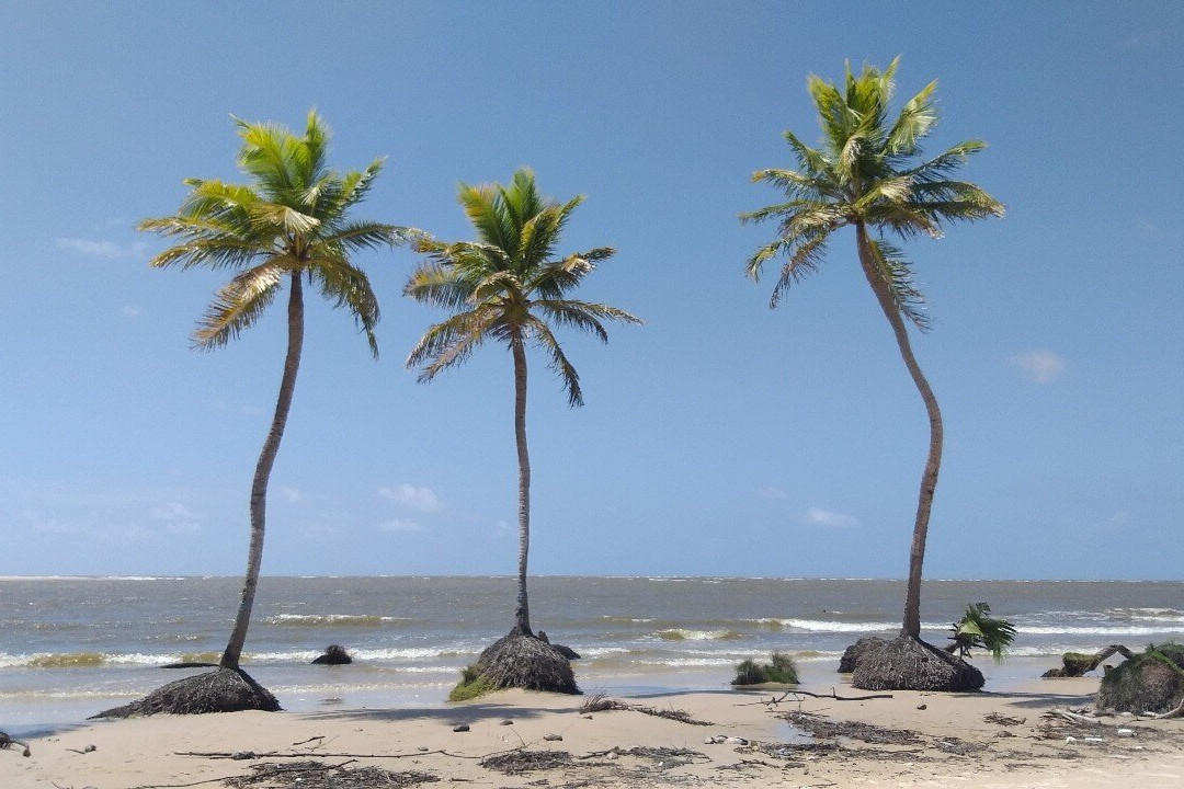Caju-Una Beach景点图片