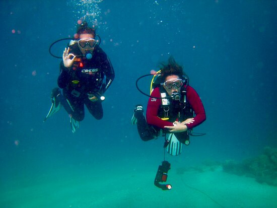 Pharaoh Dive Club-艾尔可西利亚必去景点