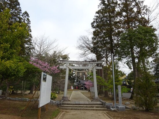 Kitsuki Shrine-茂原市必去景点