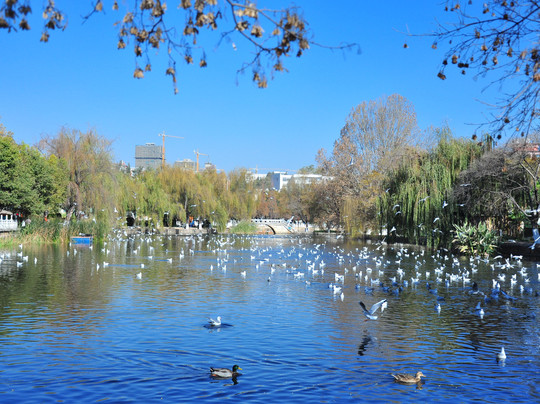 Morning Wood Hotel主图