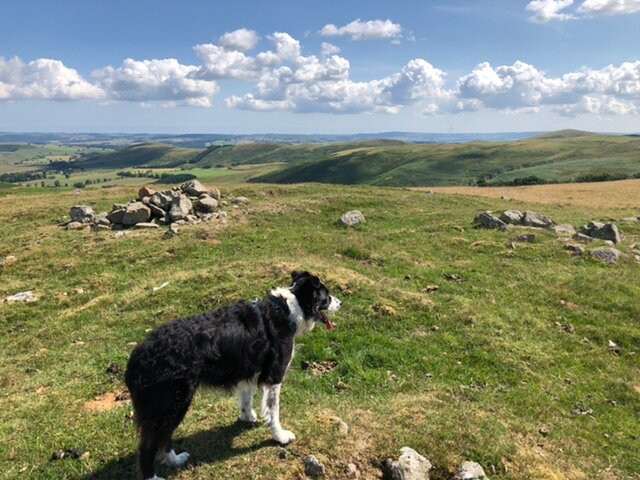 Footsteps - Walking the beauty of Northumberland景点图片