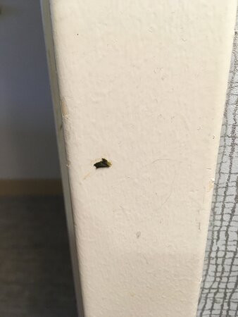 汉普顿贝德福德伯林顿酒店主图