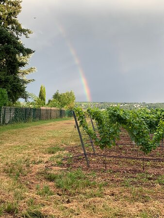 Landhotel Kauzenberg主图