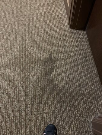 The Inn at St. Ives主图