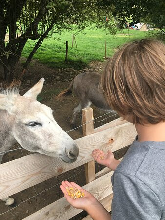 La Maison du Bonheur主图