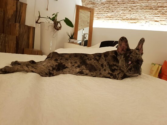 B&B La Torre Medioevale-客卧