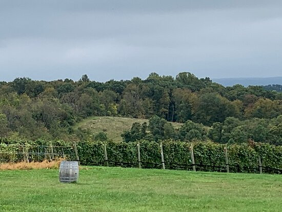Setter Ridge Vineyards景点图片