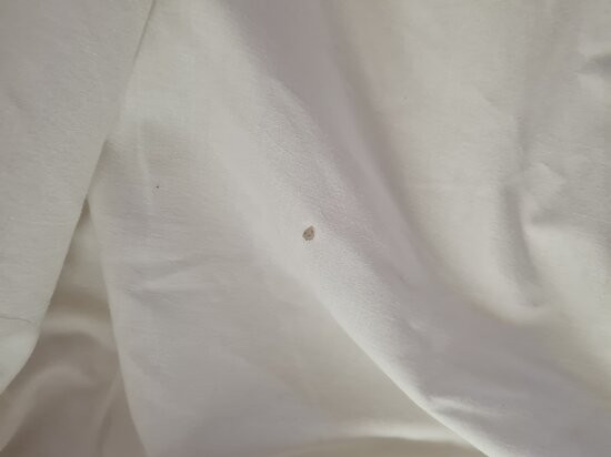 诺富特斯蒂夫尼奇酒店主图