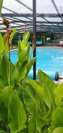 Le Plessis Grimaud主图