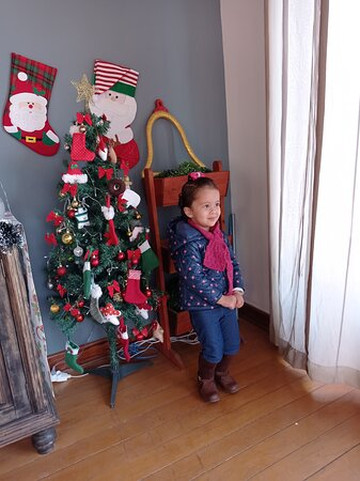 Casa Do Papai Noel Na Montanha-坎普斯－杜若尔当必去景点