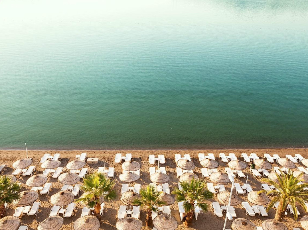 The Beachfront Hotel